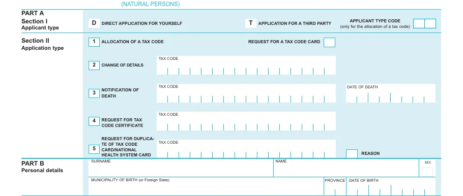 AA4/8 Part A close-up: direct application, type code and application-type boxes